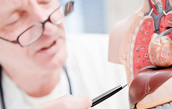 Sağlığınız için detaya dikkat edin! Bu besinler karaciğeri bitiriyor