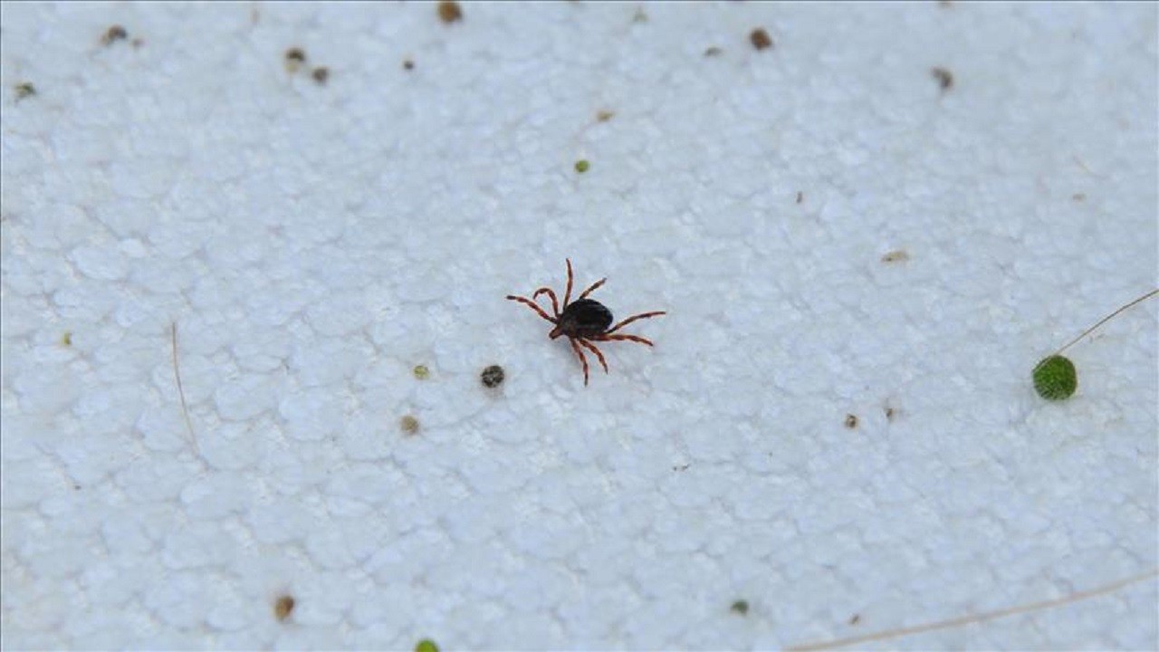 Sağlığınız için sakın bunu yapmayın