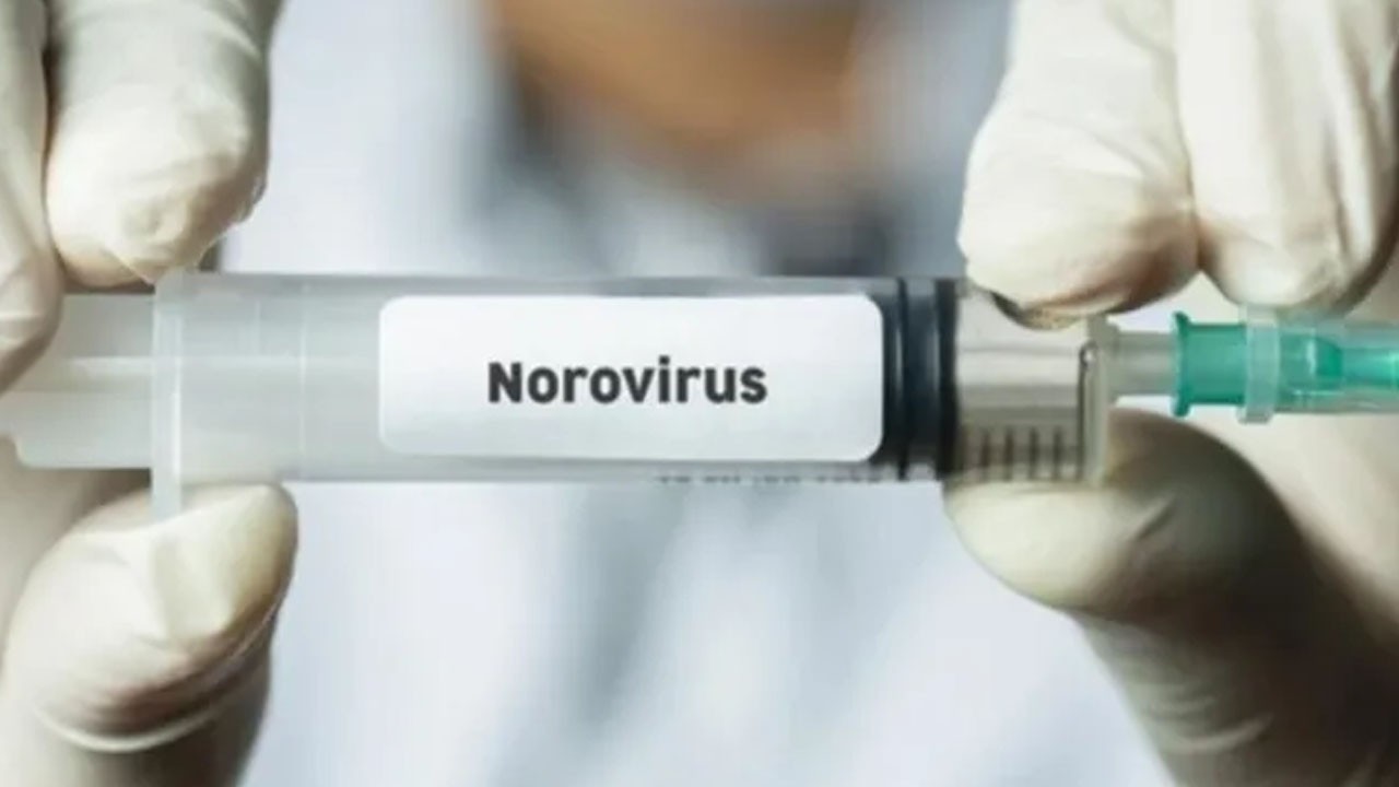 Sağlık alarmına yol açtı! Çok kritik, virüs hızla yayılıyor!