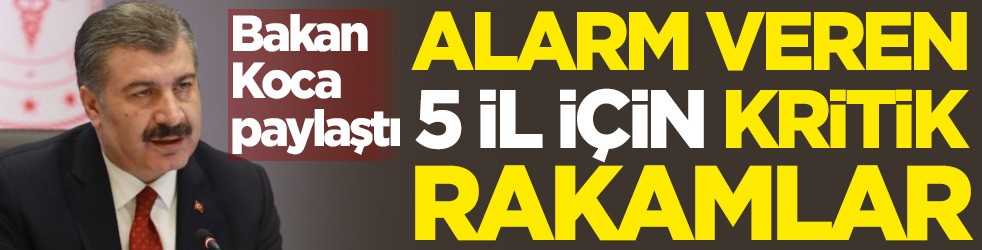 Bakan Koca paylaştı! Alarm veren 5 il için kritik rakamlar