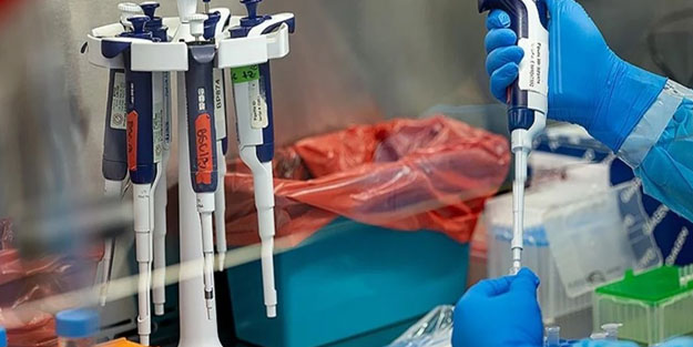 Sağlık Bakanlığı, "M çiçeği" hastalığına ilişkin merak edilen 11 soruyu internetten yanıtladı