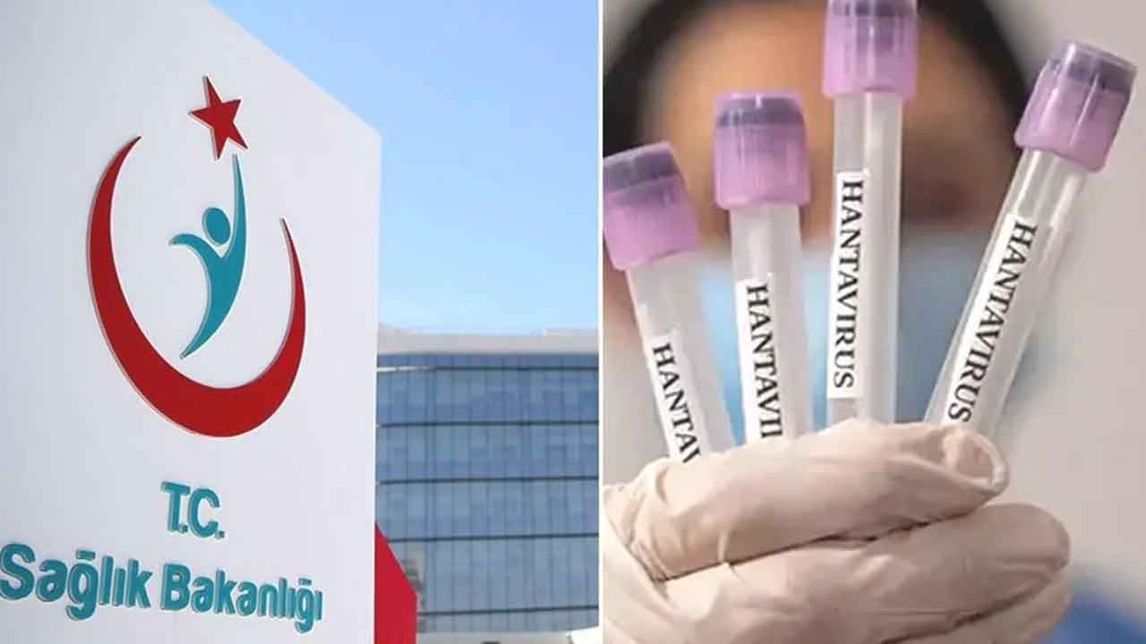 Sağlık Bakanlığı'ndan "hantavirüs" açıklaması: Türkiye'ye getirilecekler