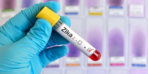 Sağlık Bakanlığı'ndan 'Zika virüsü' uyarısı