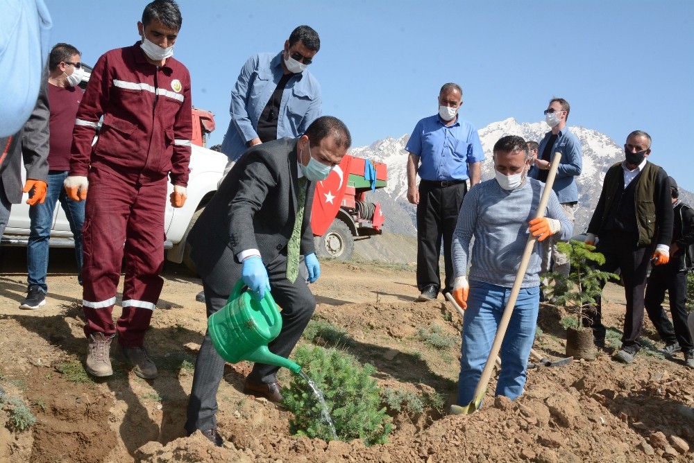 Sağlık çalışanları Vatan Tepesi’ne fidan dikti 