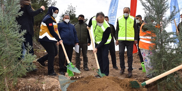 Sağlık Kahramanları Ormanı