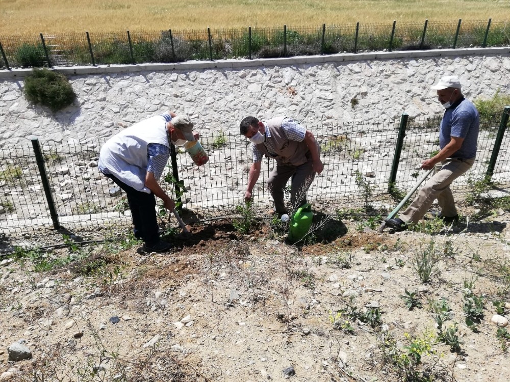 Sağlıkçılar ve güvenlik elemanları için fidan dikildi 