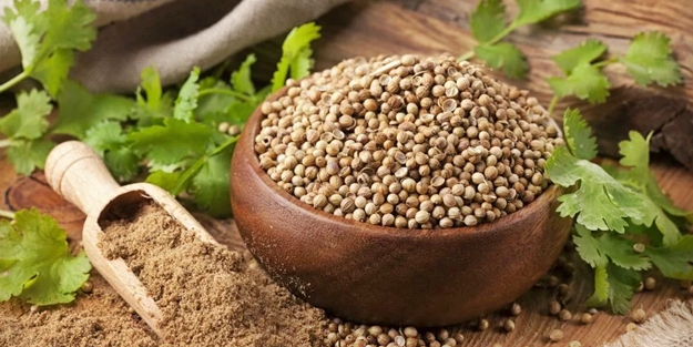 Sağlıklı kemikler için kişniş tüketin