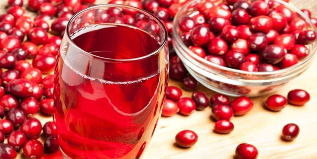 Sağlıklı kızılcık şerbeti tarifi