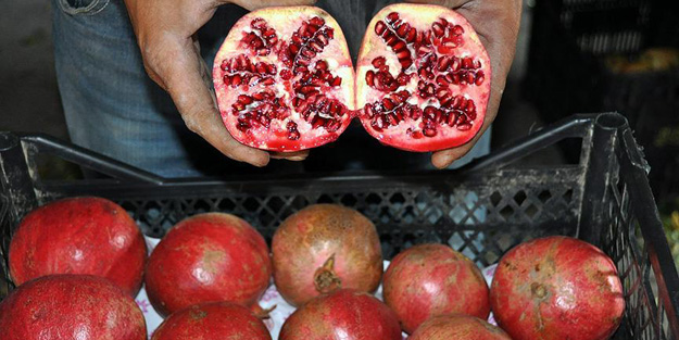 İşte 'nar'ın bilinmeyen faydaları!