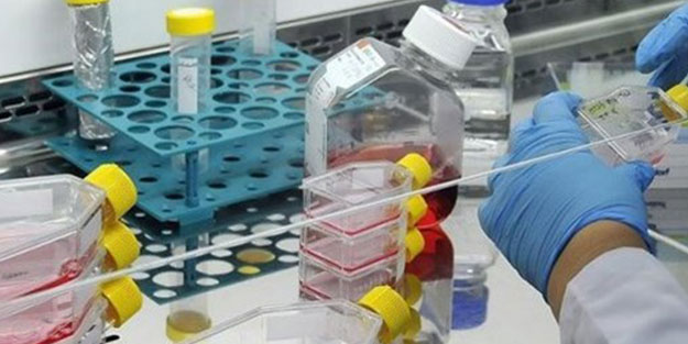 Sağlıkta dev atak! 20 ithal ilaç Türkiye’de üretilecek