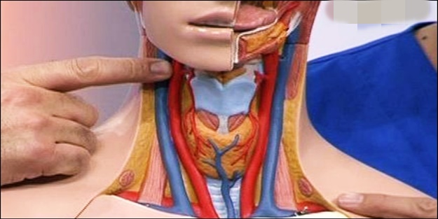 Şah damarınızı hiç kontrol ettirdiniz mi?