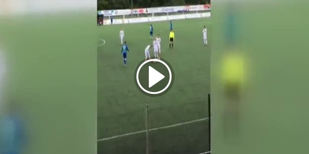 Sahaya giren köpek maçı durdurdu