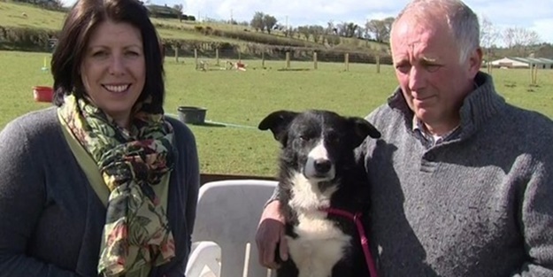 Sahibi için yaptığı şey akıllara durgunluk veriyor!