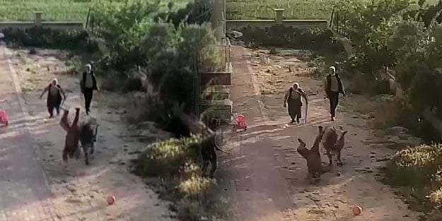 Sahibinin elinden kaçan boğa yakalamaya çalışanı yere serdi