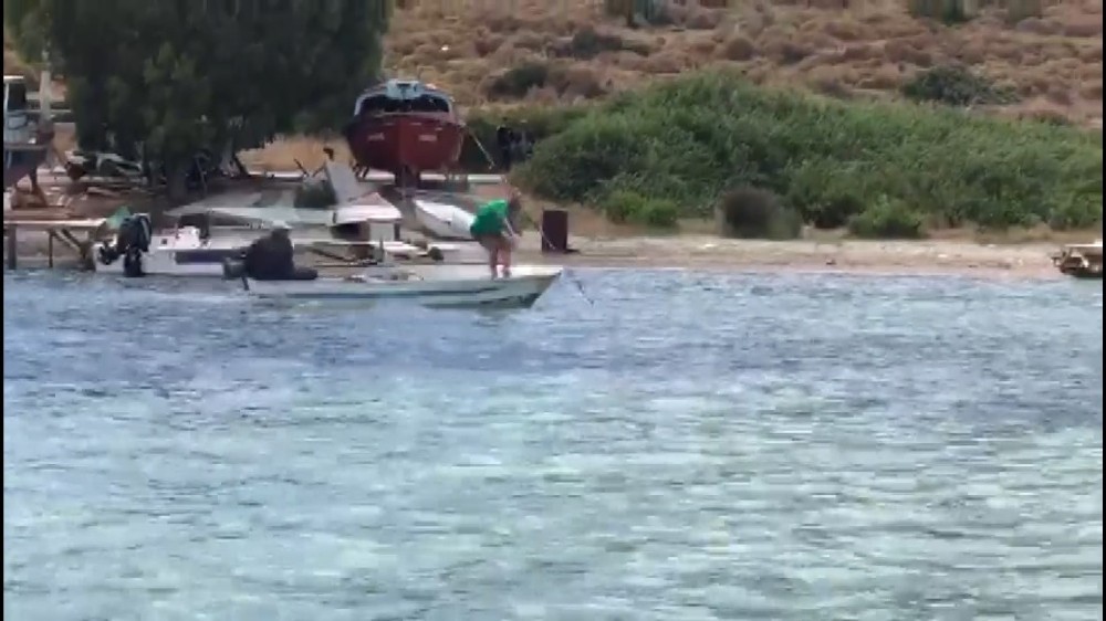 Sahil Güvenlik öldürülen köpek balığıyla ilgili harekete geçti 