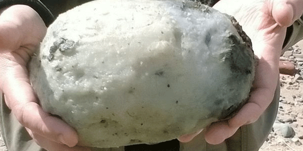 Sahilde buldukları taş servet değerinde çıktı!