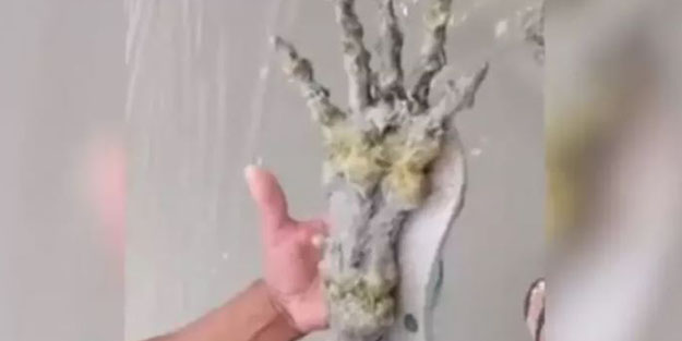 Sahilde dehşete düşüren görüntü! Sırrı hala çözülemedi