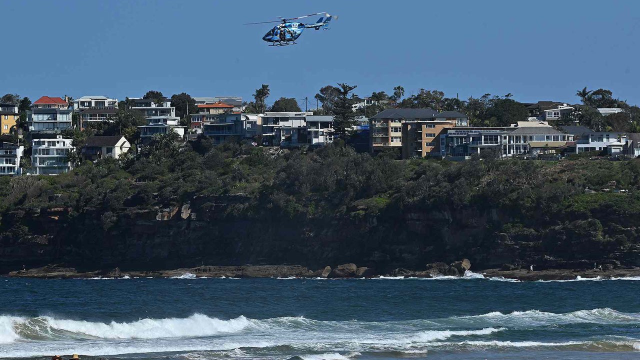 Sahilde korkunç anlar! Köpek balığı sörfçüyü öldürdü