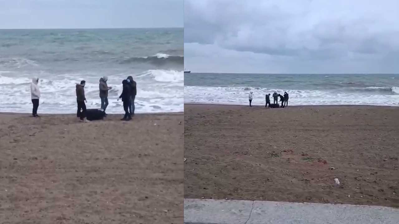 Sahile vuran çantadan uyuşturucu çıktı