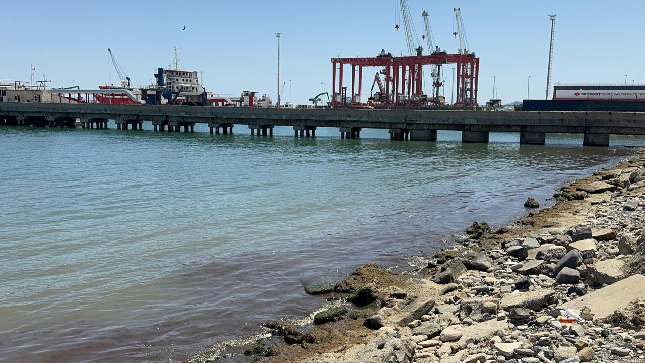 Sahili kırmızı yosunlar kapladı!