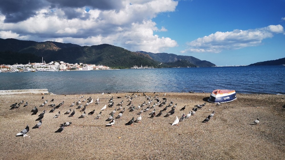 Sahiller güvercin ve martılara kaldı 