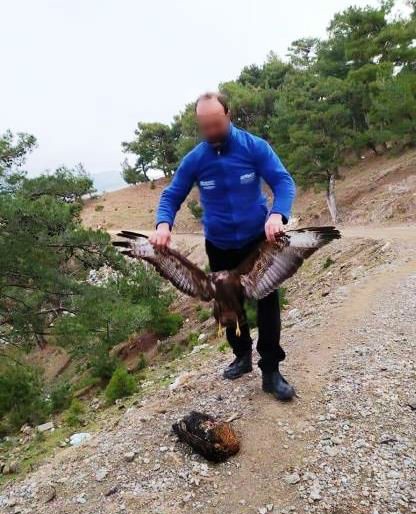 Şahin avcısına 12 bin 875 lira ceza 