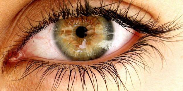 Şahin gibi gözler için 11 besin