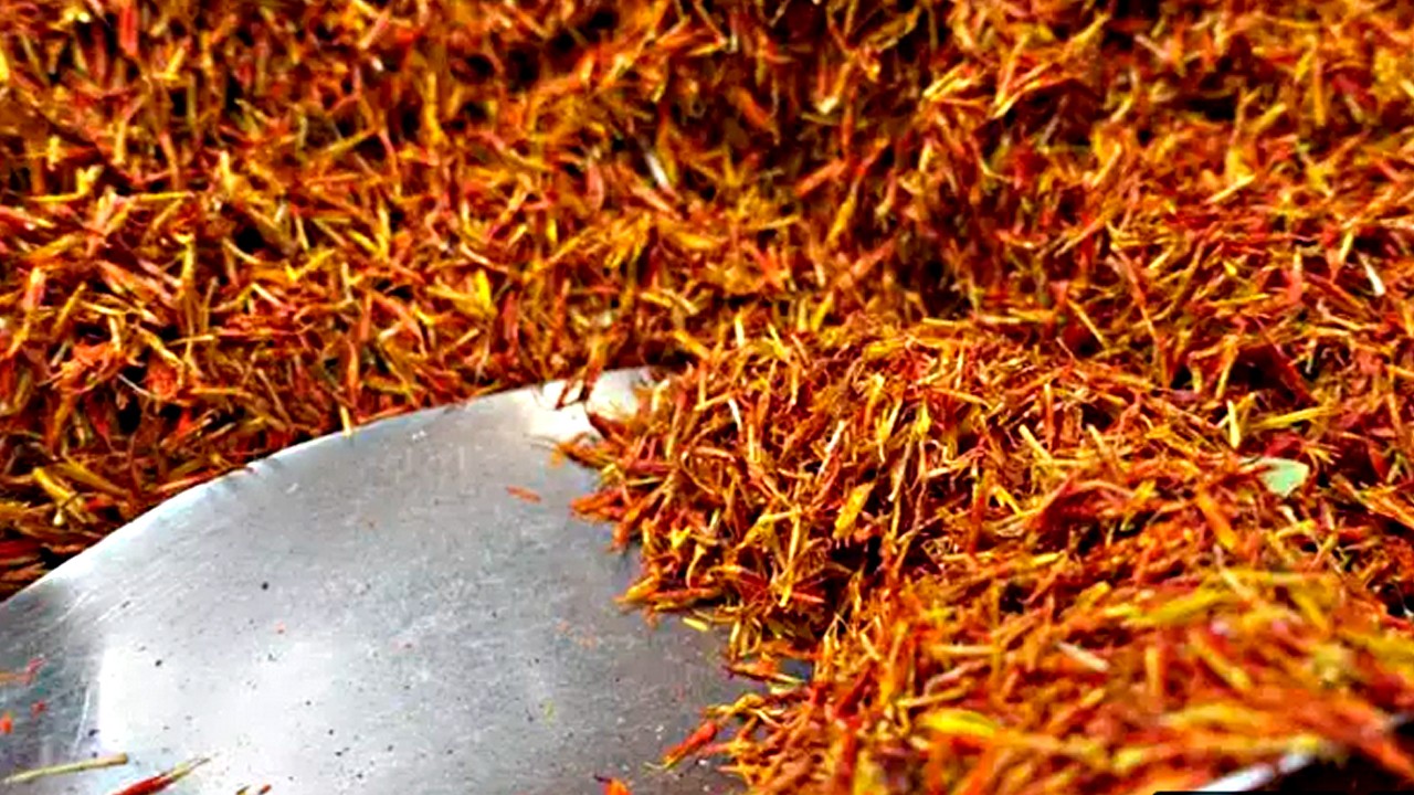 Şahin gibi keskin gözlerin sırrı bu baharatta! Büyüyen tehlike karşısında meğer görme kabiliyetini artırıyormuş