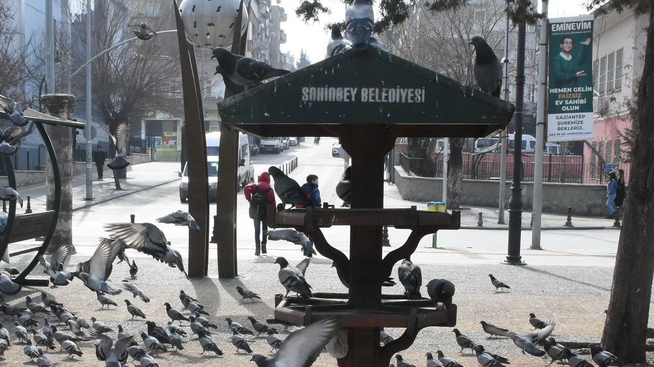 Şahinbey Belediye Başkanı Tahmazoğlu’ndan sokak hayvanları için su çağrısı