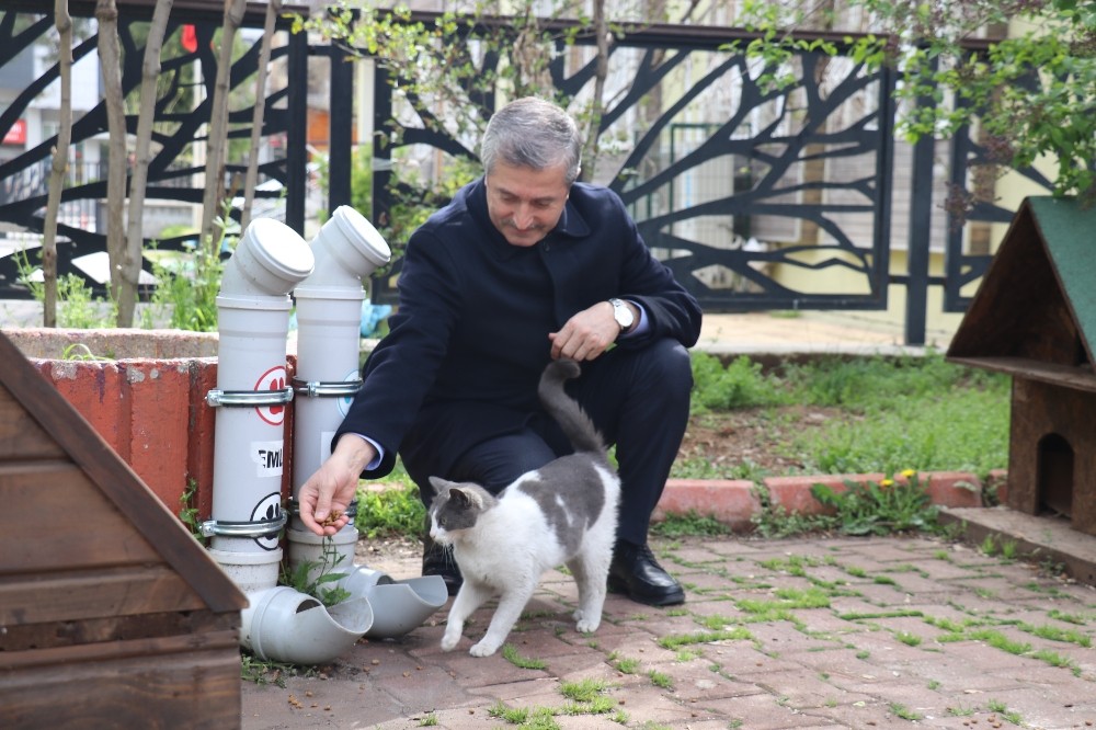 Şahinbey sokak hayvanlarını unutmadı 