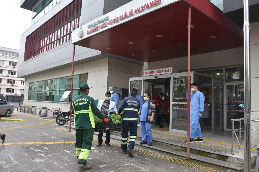 Şahinbey’de vatandaşlara reyhan çiçeği dağtıldı 