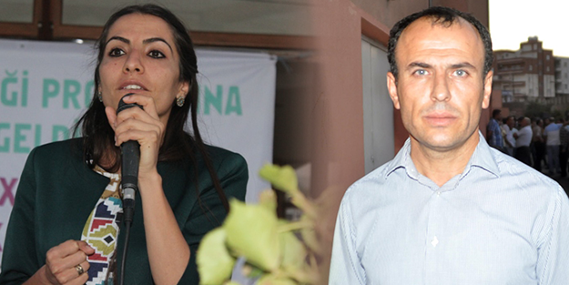 Sahiplerinin yanına kaçtılar