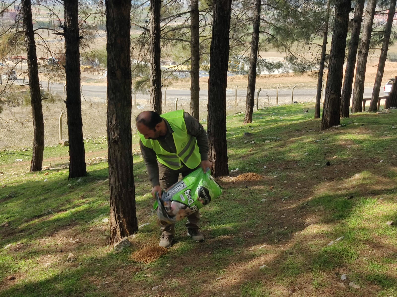 Sahipsiz hayvanlara 50 ton yaş ve kuru mama