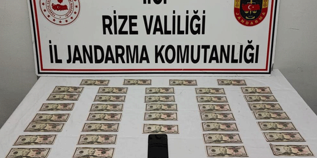 Sahte dolar operasyonu