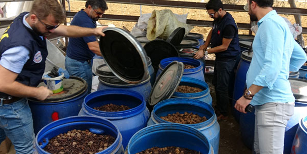 Sahte içkiler çalınmasın diye kamera taktırmışlar