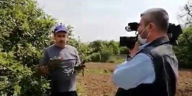 'Sahte limon' haberi şüphelileri serbest bırakıldı