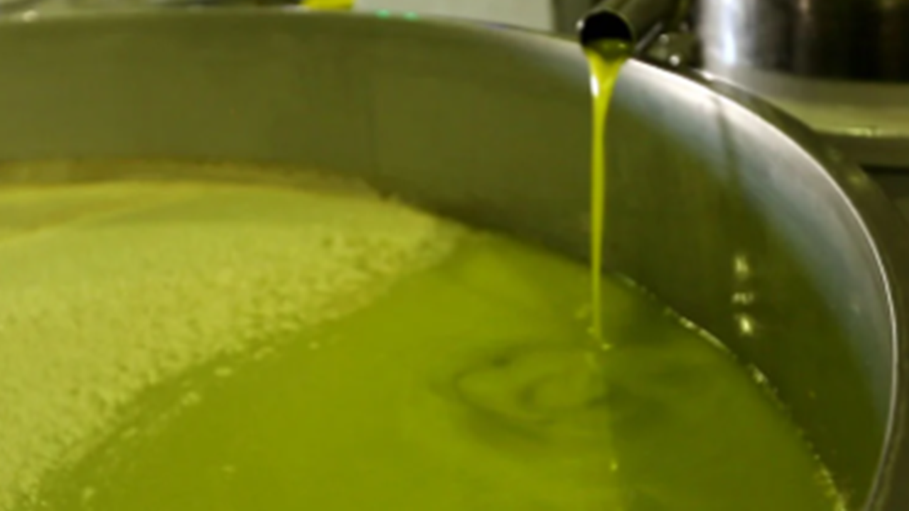 Sahtekarlık yapan zeytinyağı markaları belli oldu! İşte tam liste...