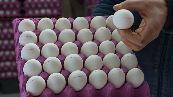 Sahurda yumurta yemek faydalı mı?