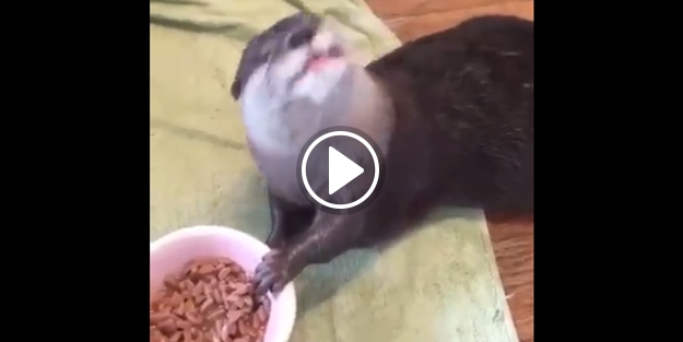 'Sahurun bitmesine 5 dakika var' dediklerinde biz