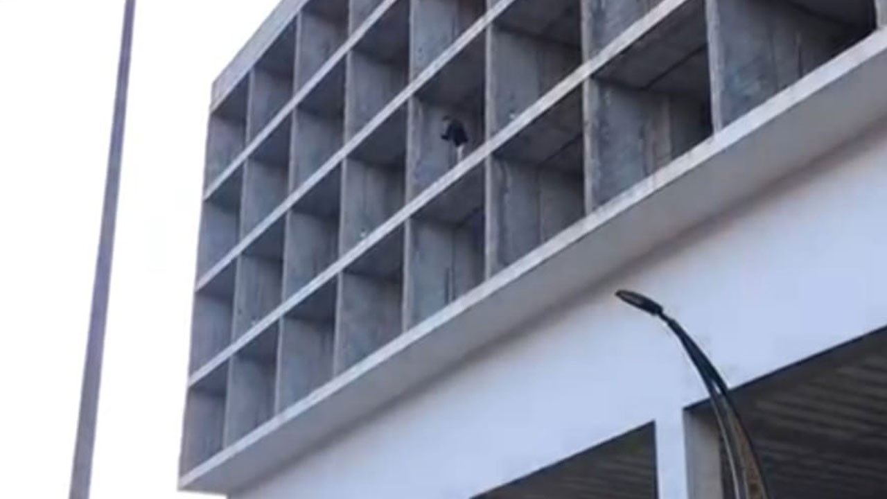 Şaka değil gerçek! 309 bin TL ceza sonrası çatıya çıktı