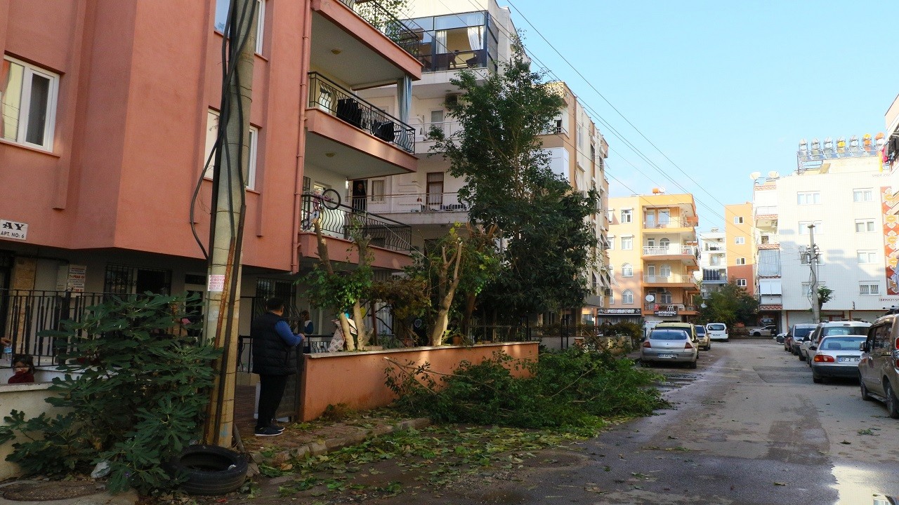 Şaka değil gerçek! Ağaç dallarını keseyim derken olanlar oldu