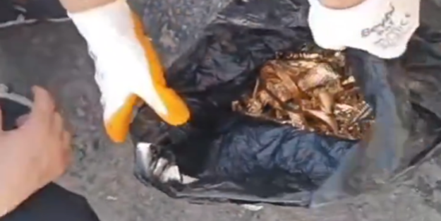 Şaka değil gerçek! Çöpteki poşetten altın fışkırdı