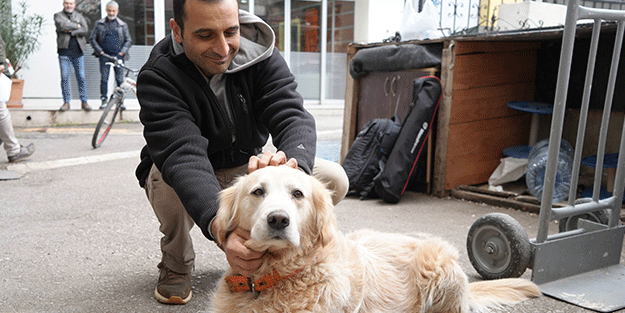 Şaka değil gerçek! Köpeğin bir havlaması 700 bin liraya mal oldu