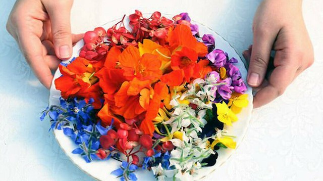 Şaka yapmıyoruz: Çiğ çiğ yenebildiğini bilmediğiniz 10 çiçek!