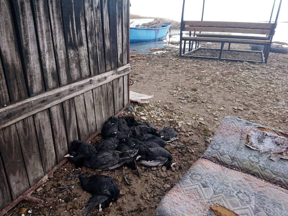 Sakar meke kuşu avına 22 bin 266 lira ceza 