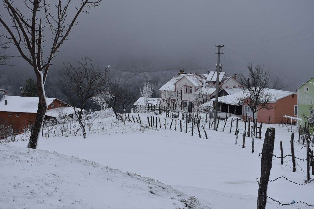 Sakarya Dikmen yaylasında kar kalınlığı 25 santimetreye ulaştı 