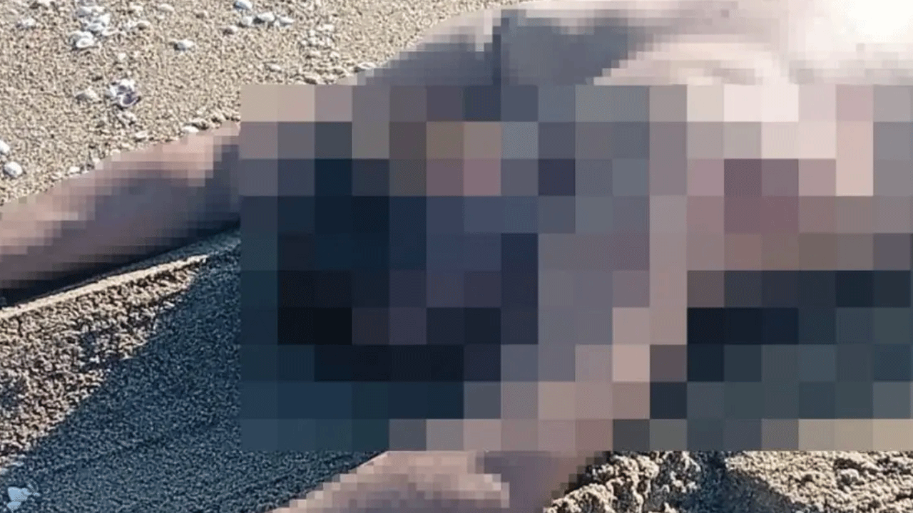 Görenler polise haber verdi: Sahilde cansız bedeni bulundu!