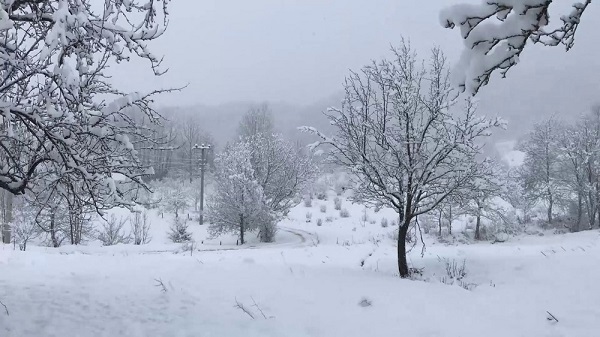 Sakarya yüz yüze eğitim ne zaman? Sakarya okullar tatil mi?