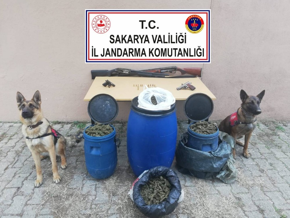 Sakarya’da 11 kilogram esrar ele geçirildi: 1 gözaltı 