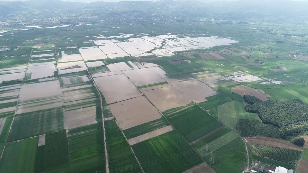 Sakarya’da 20 bin dekar tarım alanı sular altında kaldı 